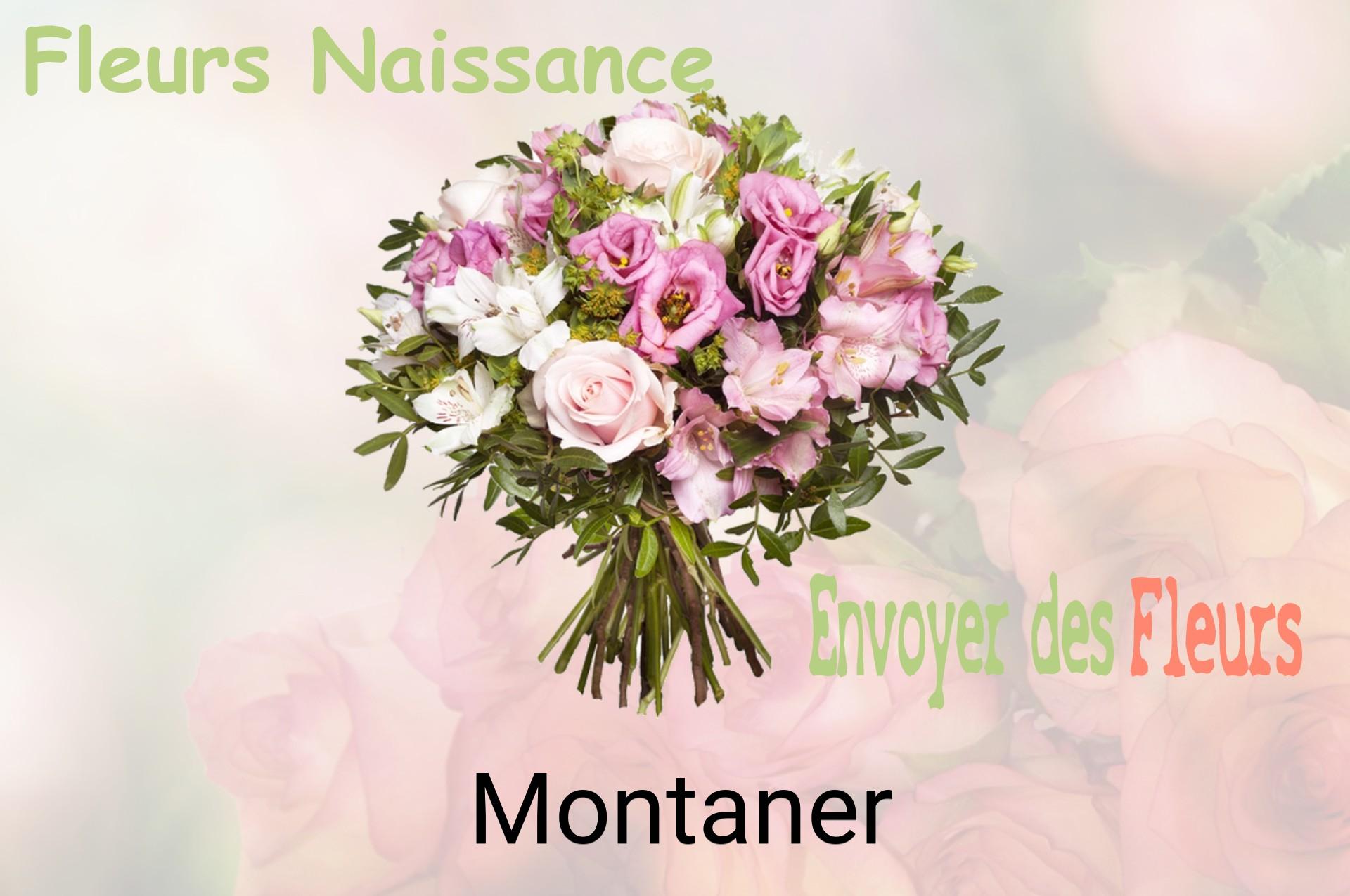 Bouquet de fleurs de naissance livré à Montaner